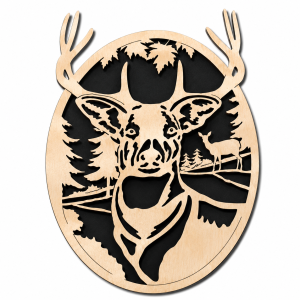Cerf dans un cadre