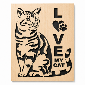 Chat dans un cadre
